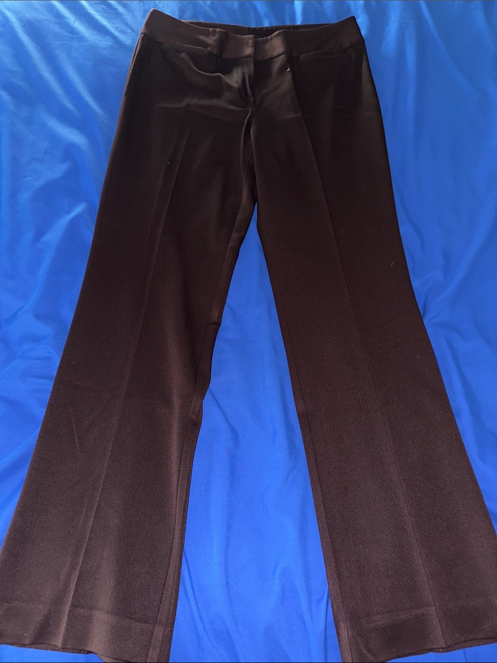 Classic Plum Dress Pants